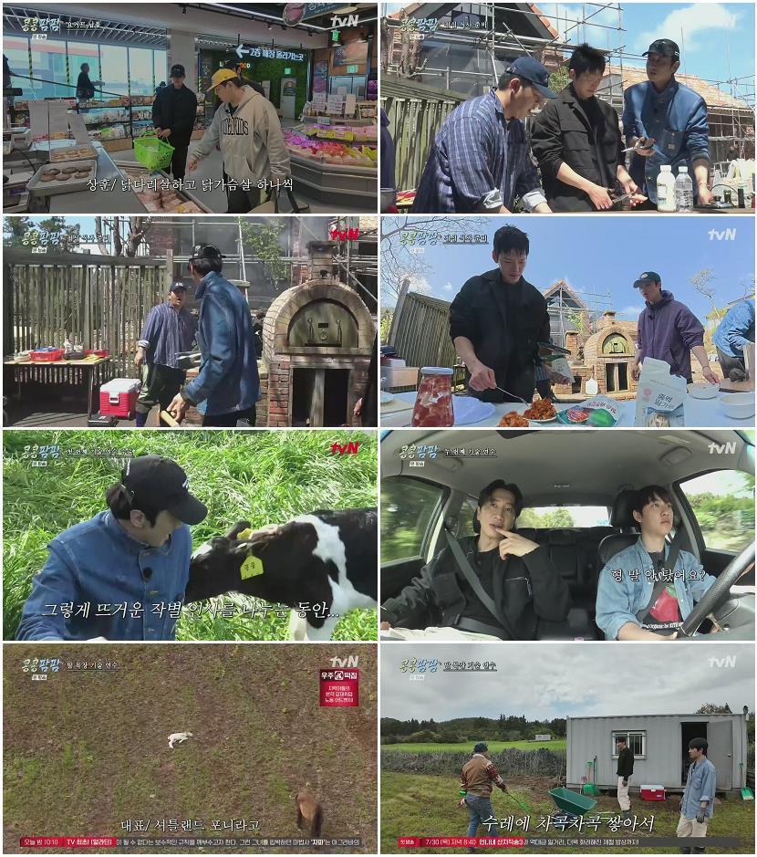 콩콩팜팜.E04.260710.1080p.H265-F1RST