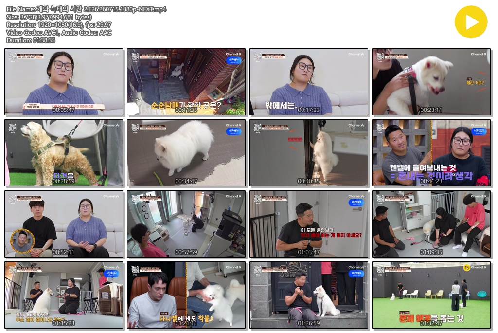 개와 늑대의 시간 2.E26.260715.1080p-NEXT