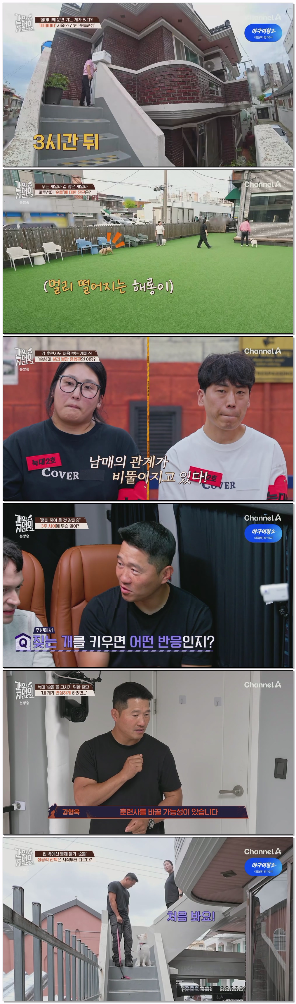 개와 늑대의 시간 시즌2.E26.260715.1080p.H264-F1RST