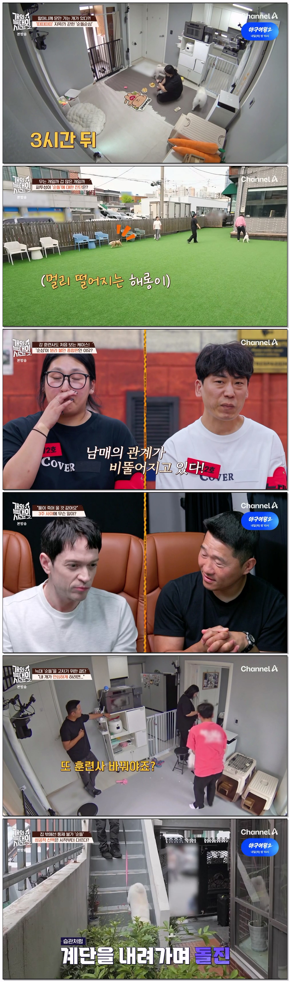 개와 늑대의 시간 2.E26.260715.720p-NEXT