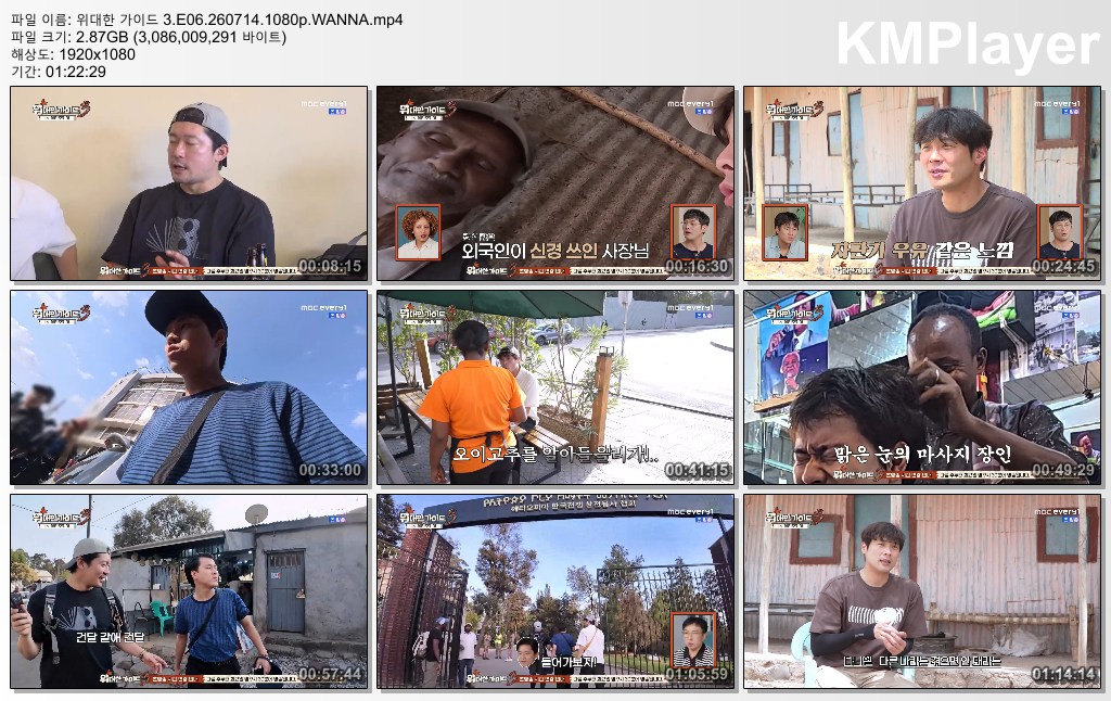 위대한 가이드 3.E06.260714.1080p.WANNA