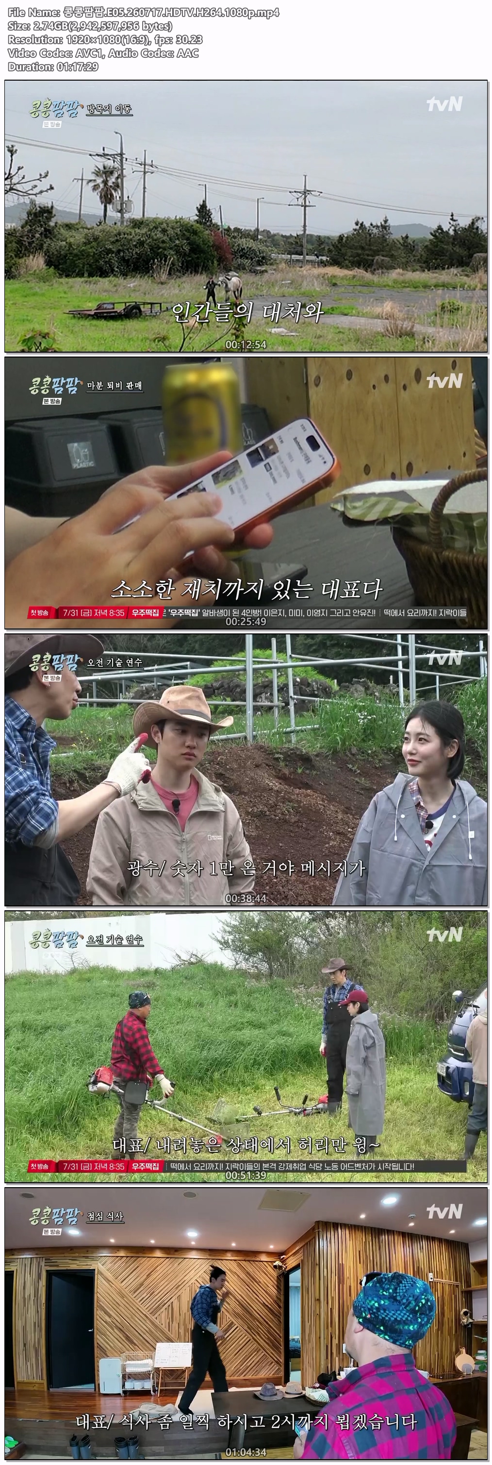 콩콩팜팜.E05.260717.HDTV.H264.1080p