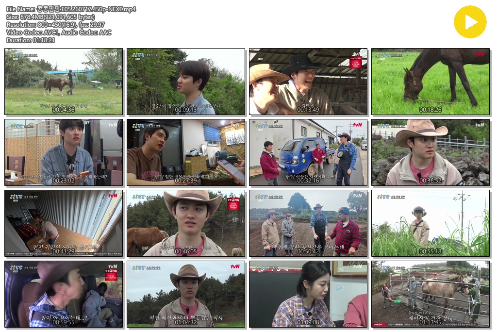 콩콩팜팜.E05.260717.450p-NEXT