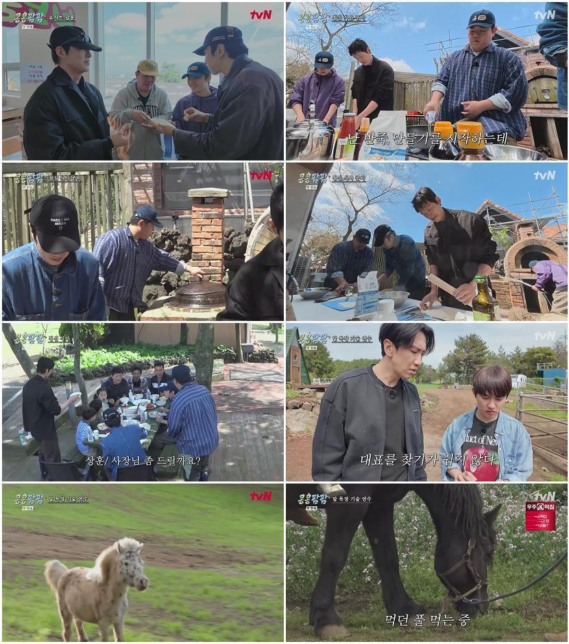 콩콩팜팜.E04.260710.720p-NEXT