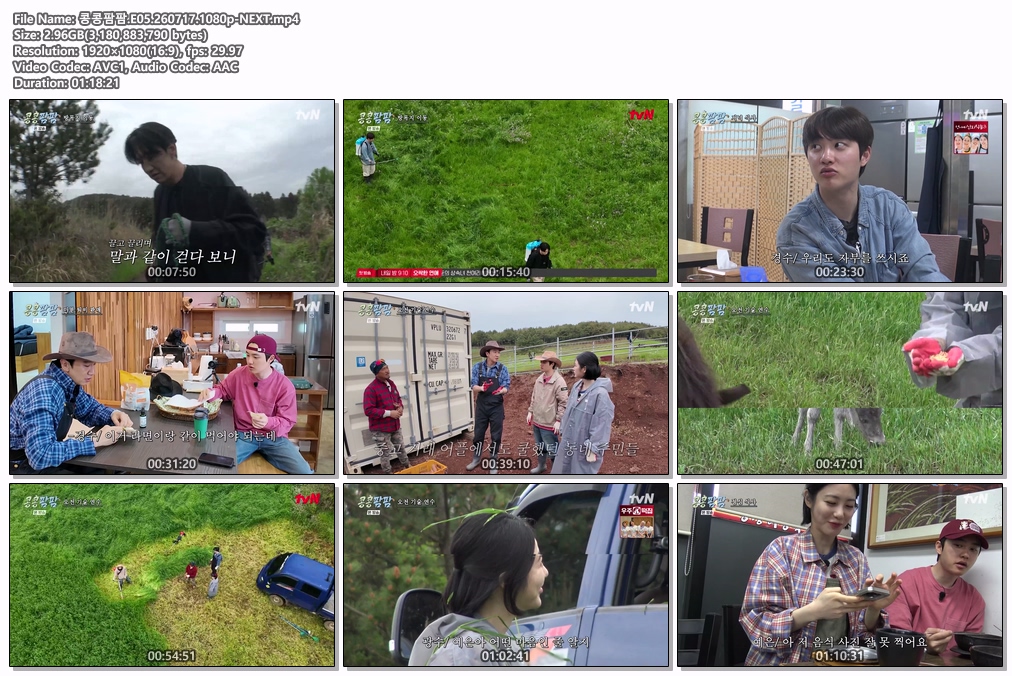 콩콩팜팜.E05.260717.1080p-NEXT