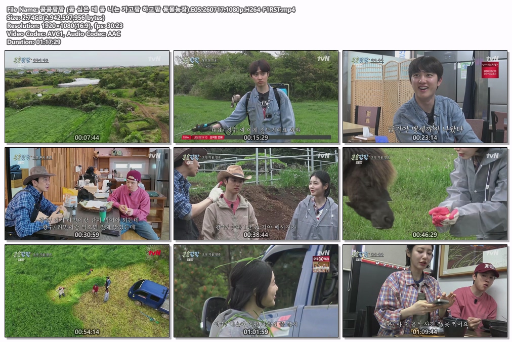 콩콩팜팜 (콩 심은 데 콩 나는 가고팜 하고팜 동물농장).E05.260717.1080p.H264-F1RST