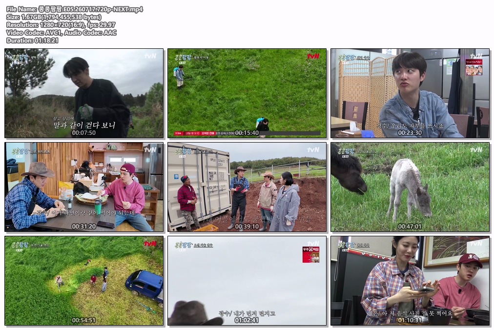 콩콩팜팜.E05.260717.720p-NEXT