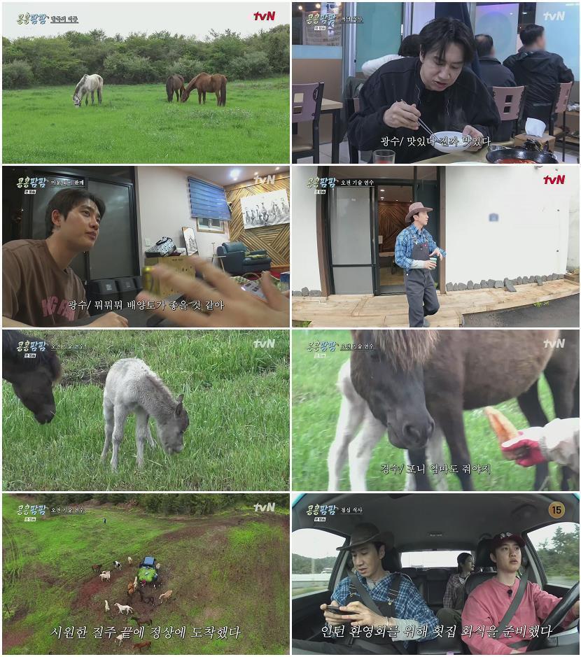 콩콩팜팜.E05.260717.1080p.H265-F1RST