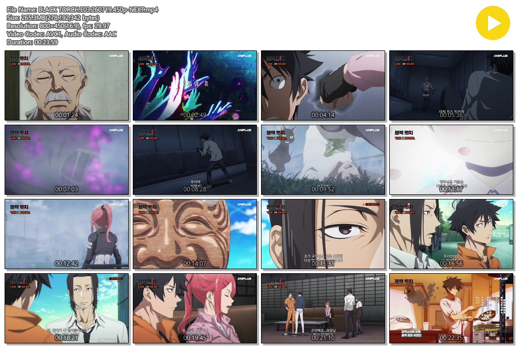 BLACK TORCH.E03.260719.450p-NEXT