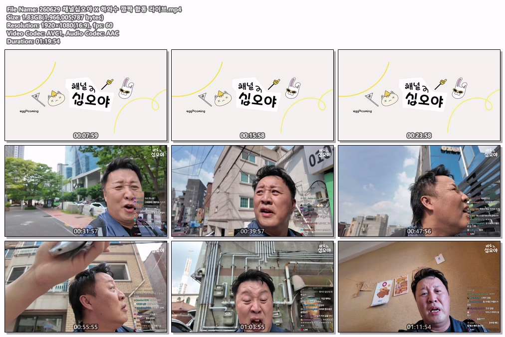 260629 하와수 깜짝 합동 라이브