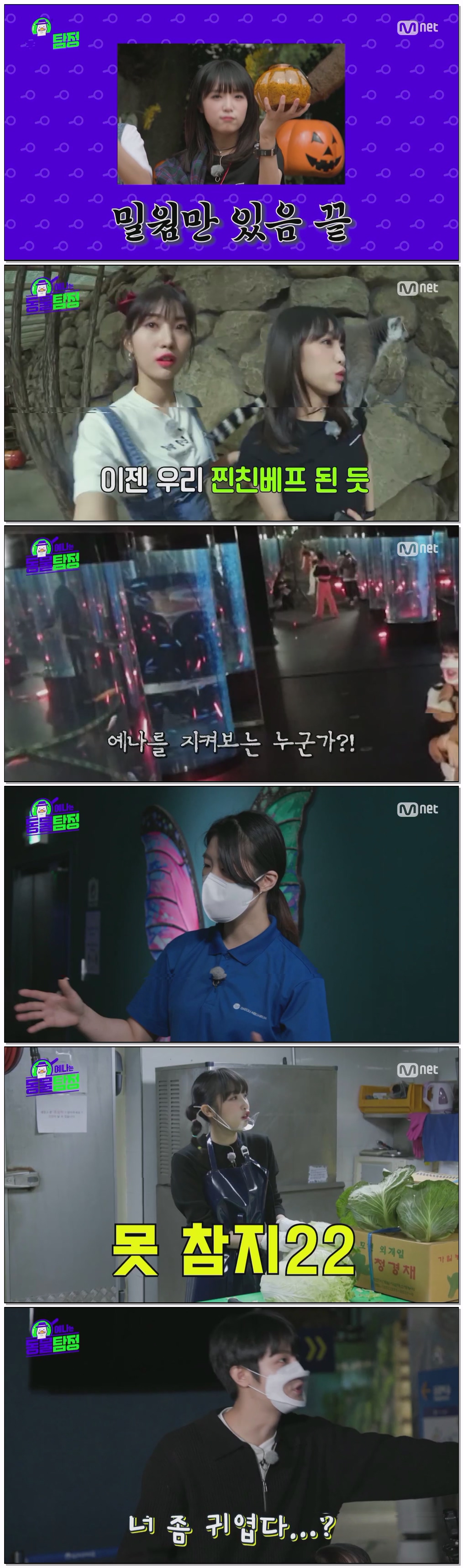 예나는 동물탐정.E03.260720.720p.H264-F1RST