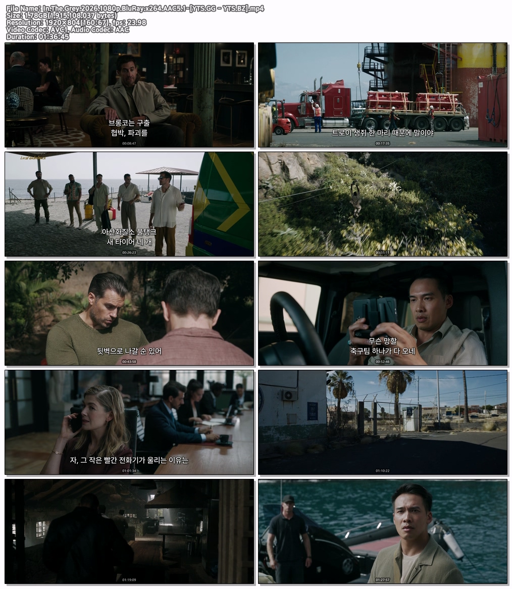 In The Grey (2026) [1080p] [BluRay] [5.1]