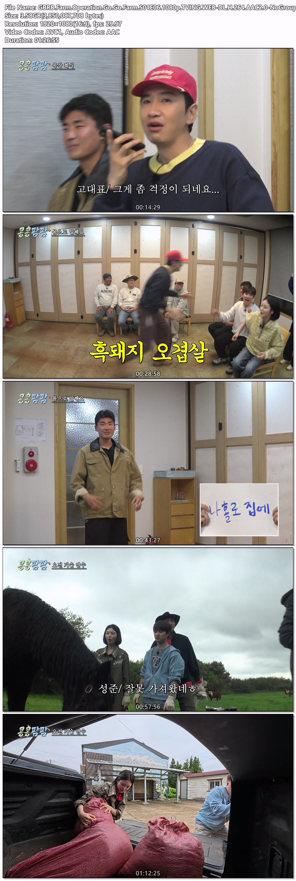 콩콩팜팜.E06.260724.1080p.TVING.WEB-DL.H.264.AAC2.0