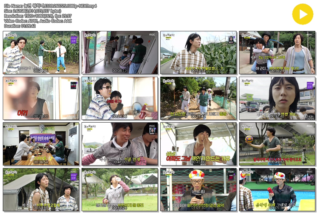 놀면 뭐하니.E339.260725.1080p-NEXT