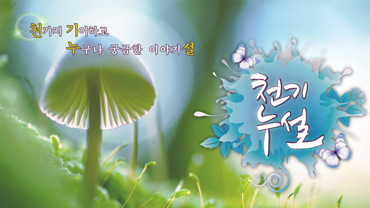 천기누설.E733.260724.720p-NEXT