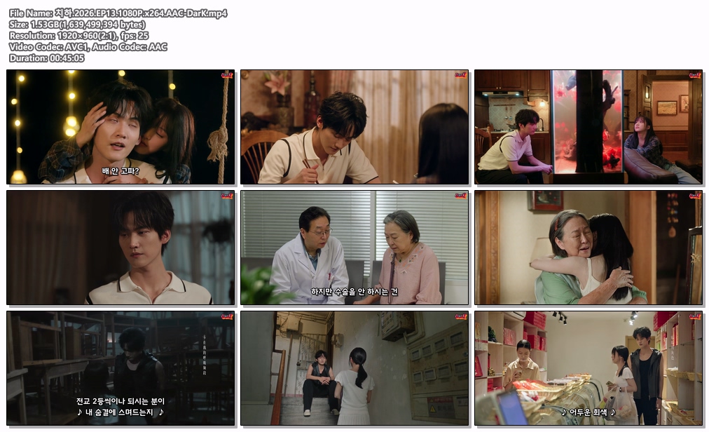 치하.2026.EP13.1080P.x264.AA..