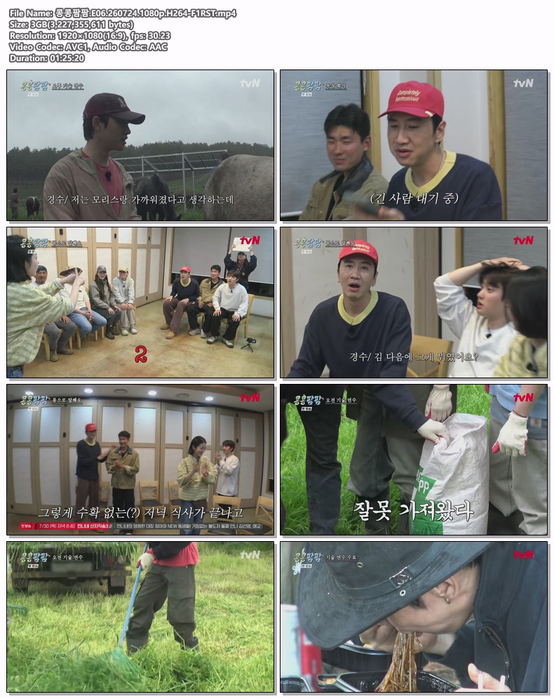 콩콩팜팜.E06.260724.1080p.H264-F1RST