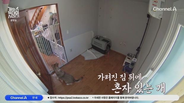 개와 늑대의 시간 2.E27.260722.1080p