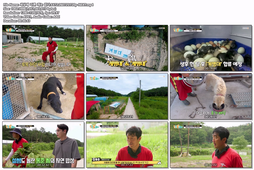 세상에 나쁜 개는 없다.E472.260725.720p-NEXT