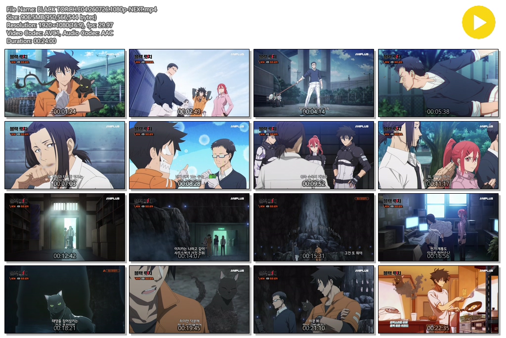 BLACK TORCH.E04.260726.1080p-NEXT