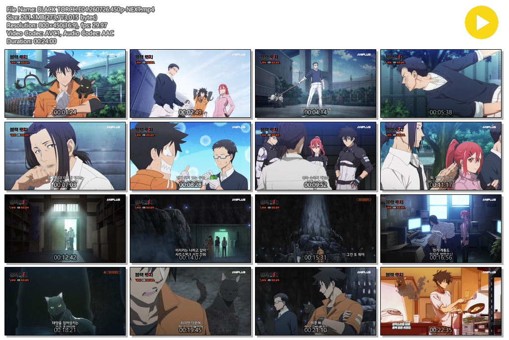 BLACK TORCH.E04.260726.450p-NEXT
