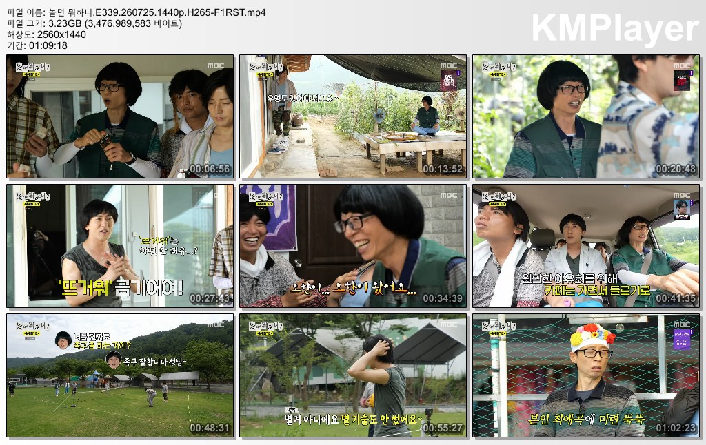 놀면 뭐하니.E339.260725.1440p.H265-F1RST