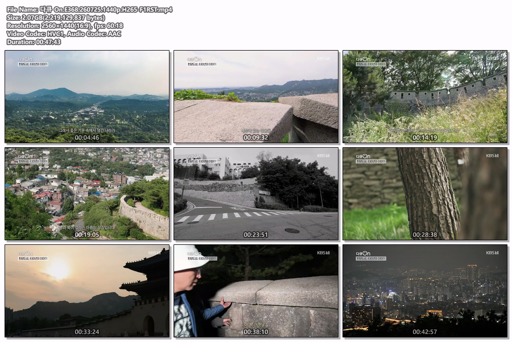 다큐 On.E368.260725.1440p.H265-F1RST