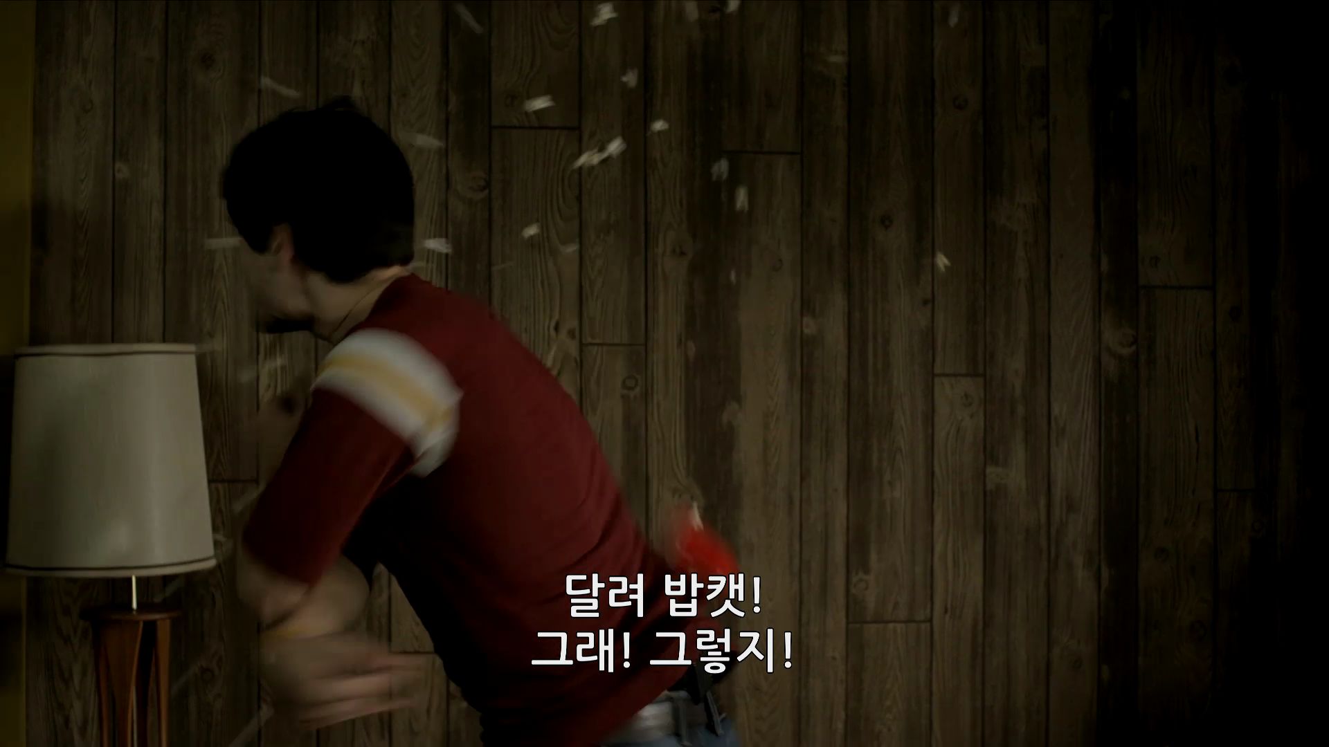 2015. 내일을 찍는 카메라 타임 랩스