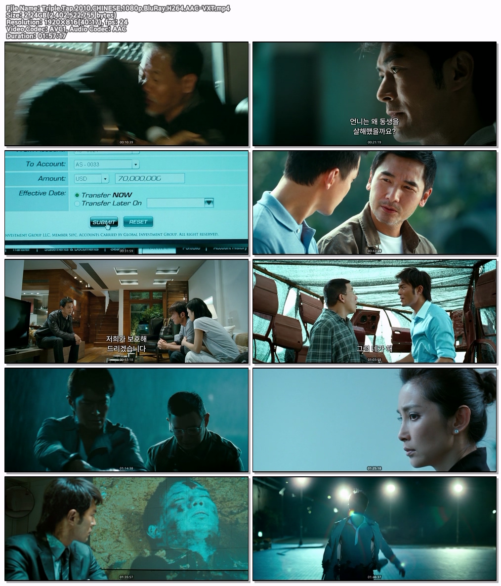 Triple.Tap.2010.CHINESE.10..