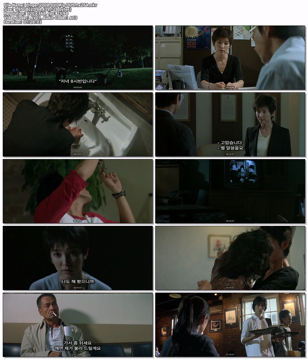 Linger.2008.DVDRip.DD5.1.x..