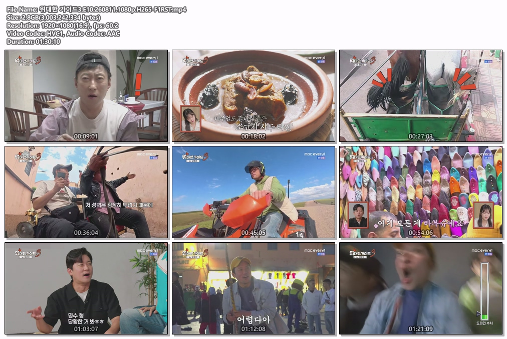 위대한 가이드3.E10.260811.1080p.H265-F1RST