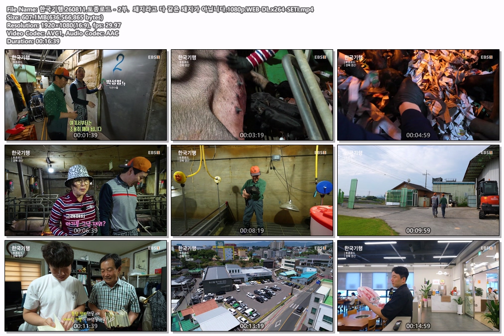 한국기행.260811.토종로드 - 2부.  돼지라고 다 같은 돼지가 아닙니다.1080p.WEB-DL.x264-SETI