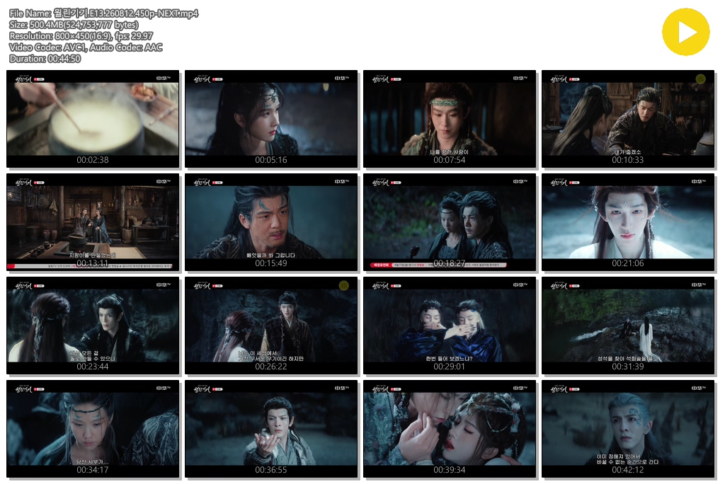 월린기기.E13.260812.450p-NEXT