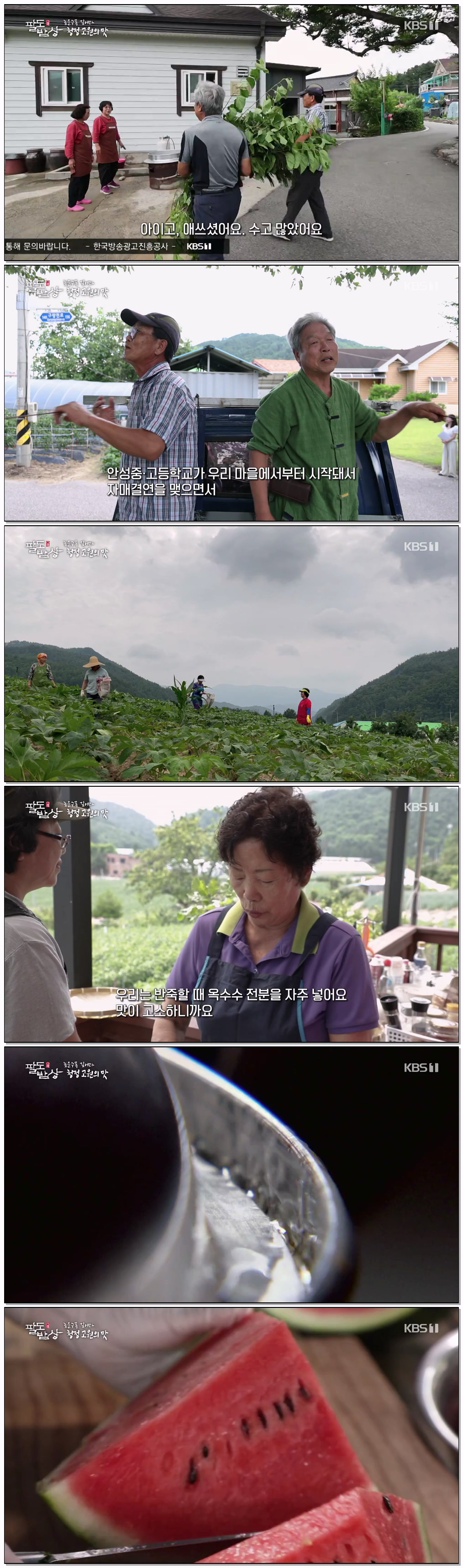 팔도밥상.E477.260812.720p-NEXT