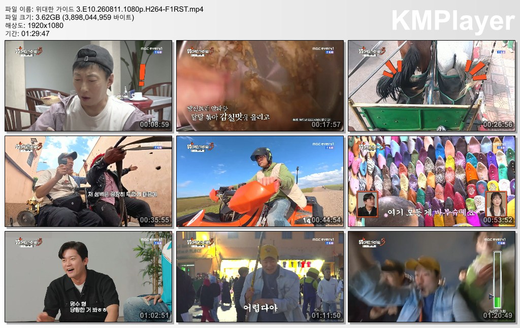 위대한 가이드 3.E10.260811.1080p.H264-F1RST
