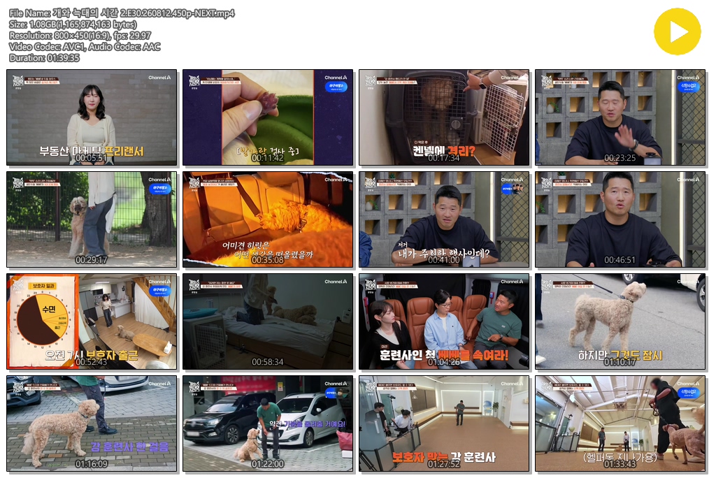개와 늑대의 시간 2.E30.260812.450p-NEXT