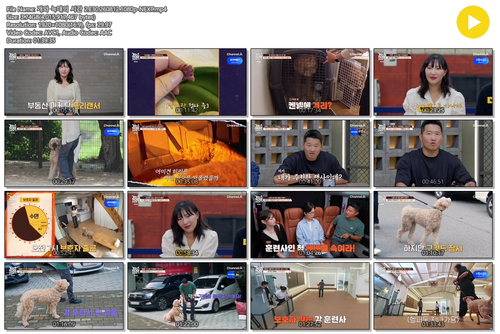 개와 늑대의 시간 2.E30.260812.1080p-NEXT