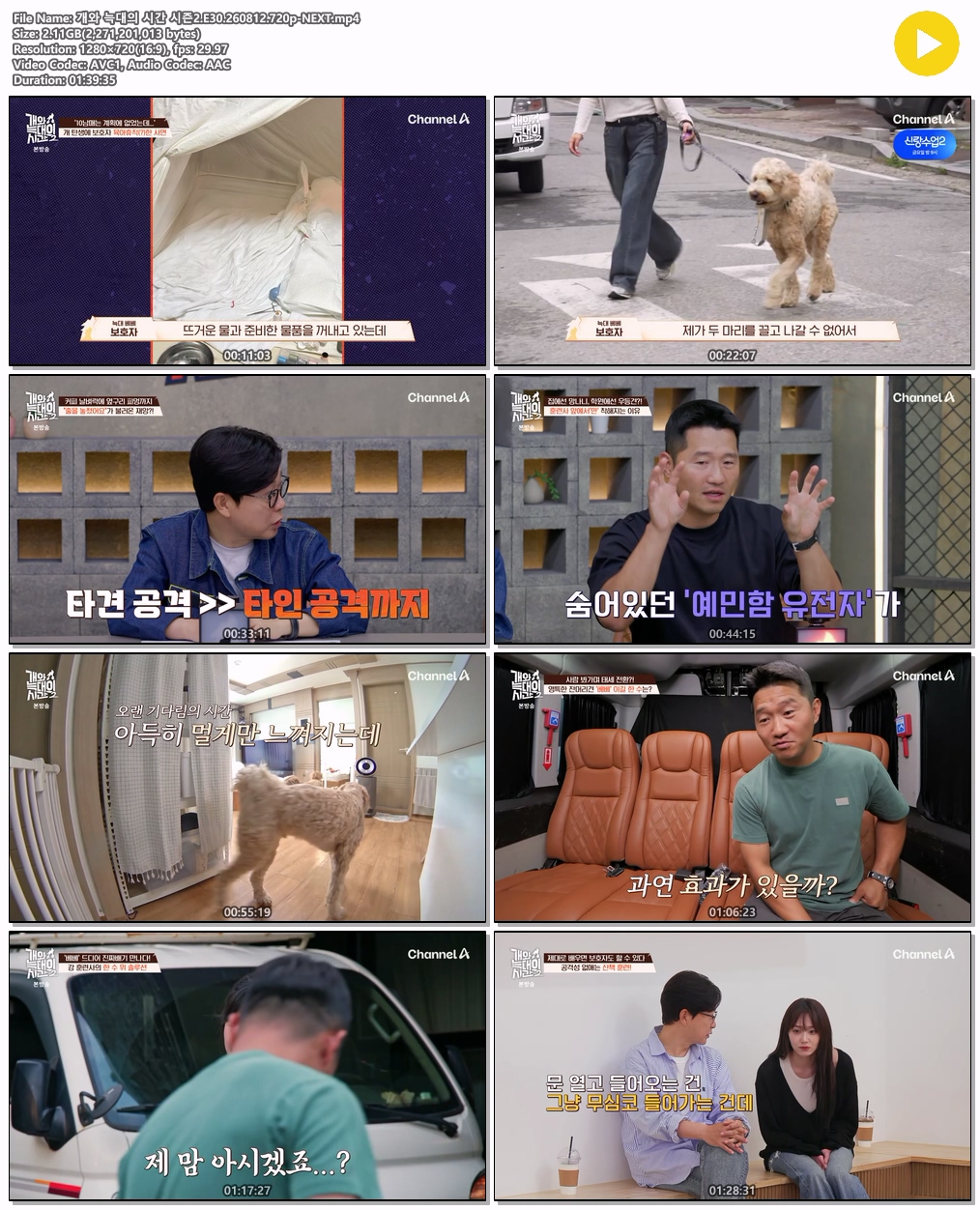개와 늑대의 시간 시즌2.E30.260812.720p-NEXT
