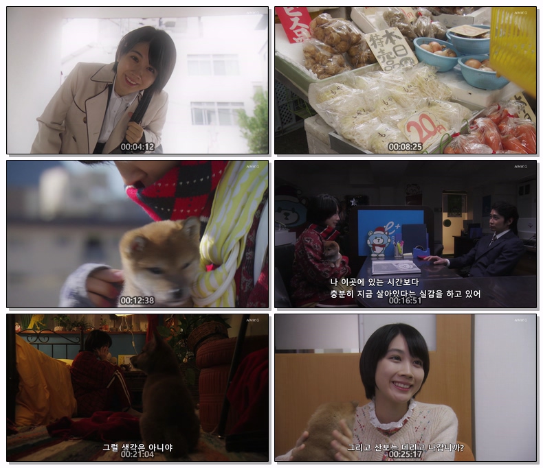 펫에게 빠져서 회사 그만두었습니다 2022 SP 1080p (한글)