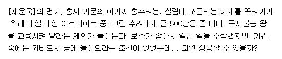 [완결] 채운국이야기 1-9권 (판타지,애니화,순정)