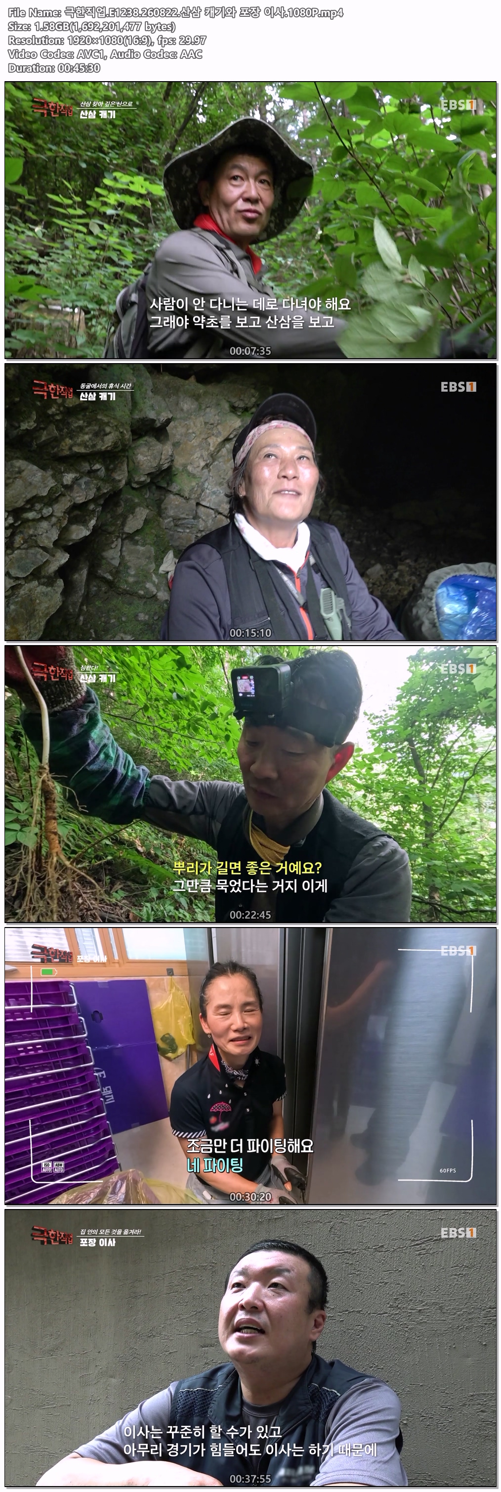 극한직업.E1238.260822.산삼 캐기와 포장 이사.1080P