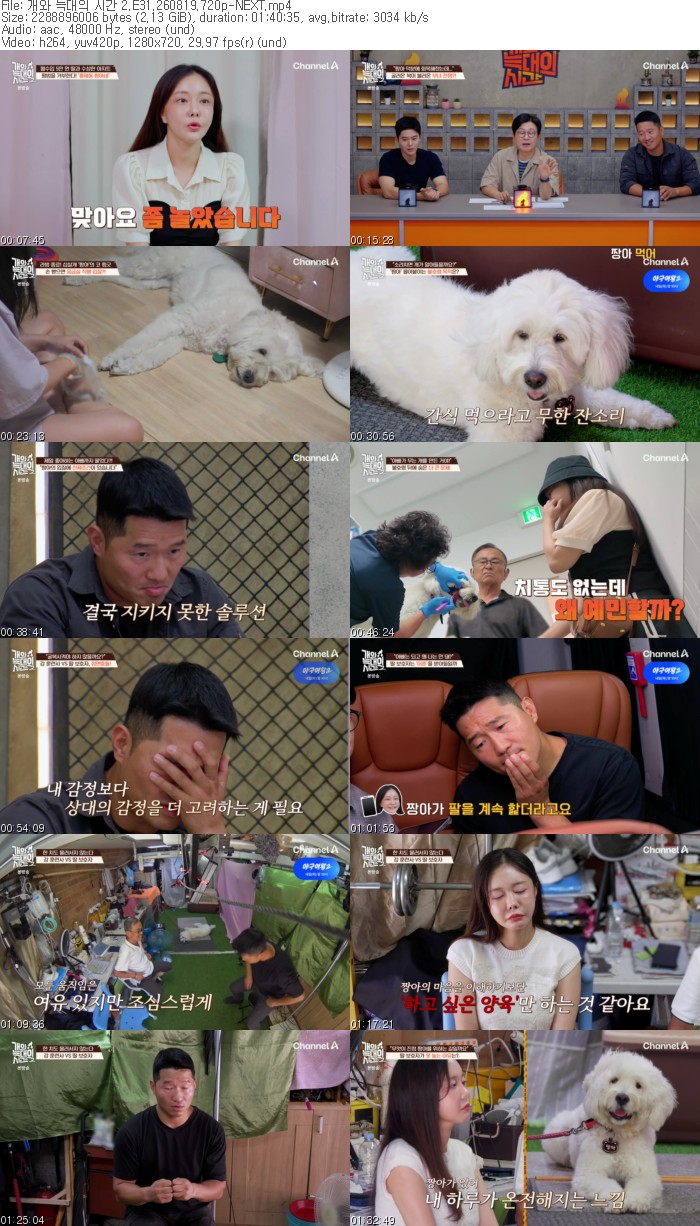 개와 늑대의 시간 2.E31.260819.720p-NEXT