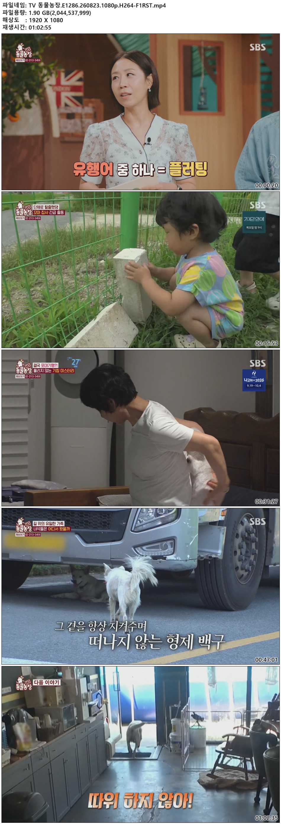 TV 동물농장.E1286.260823.1080p.H264-F1RST