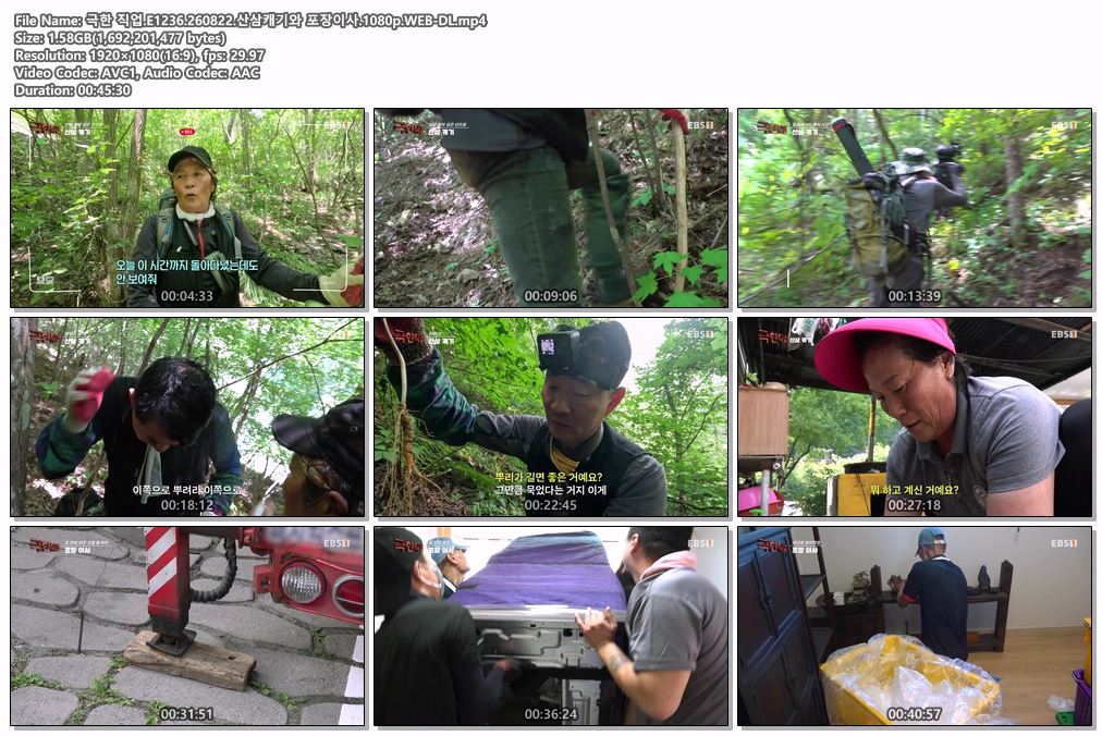 극한 직업.E1236.260822.산삼캐기와 포장이사.1080p.WEB-DL
