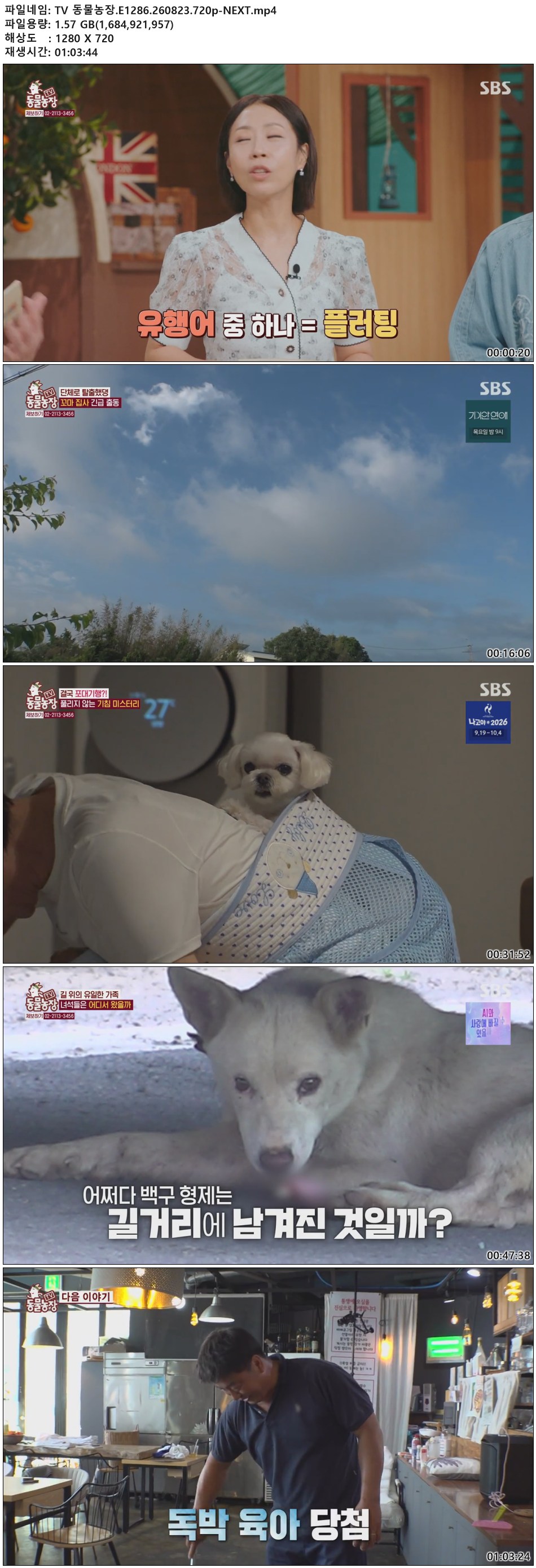 TV 동물농장.E1286.260823.720p-NEXT