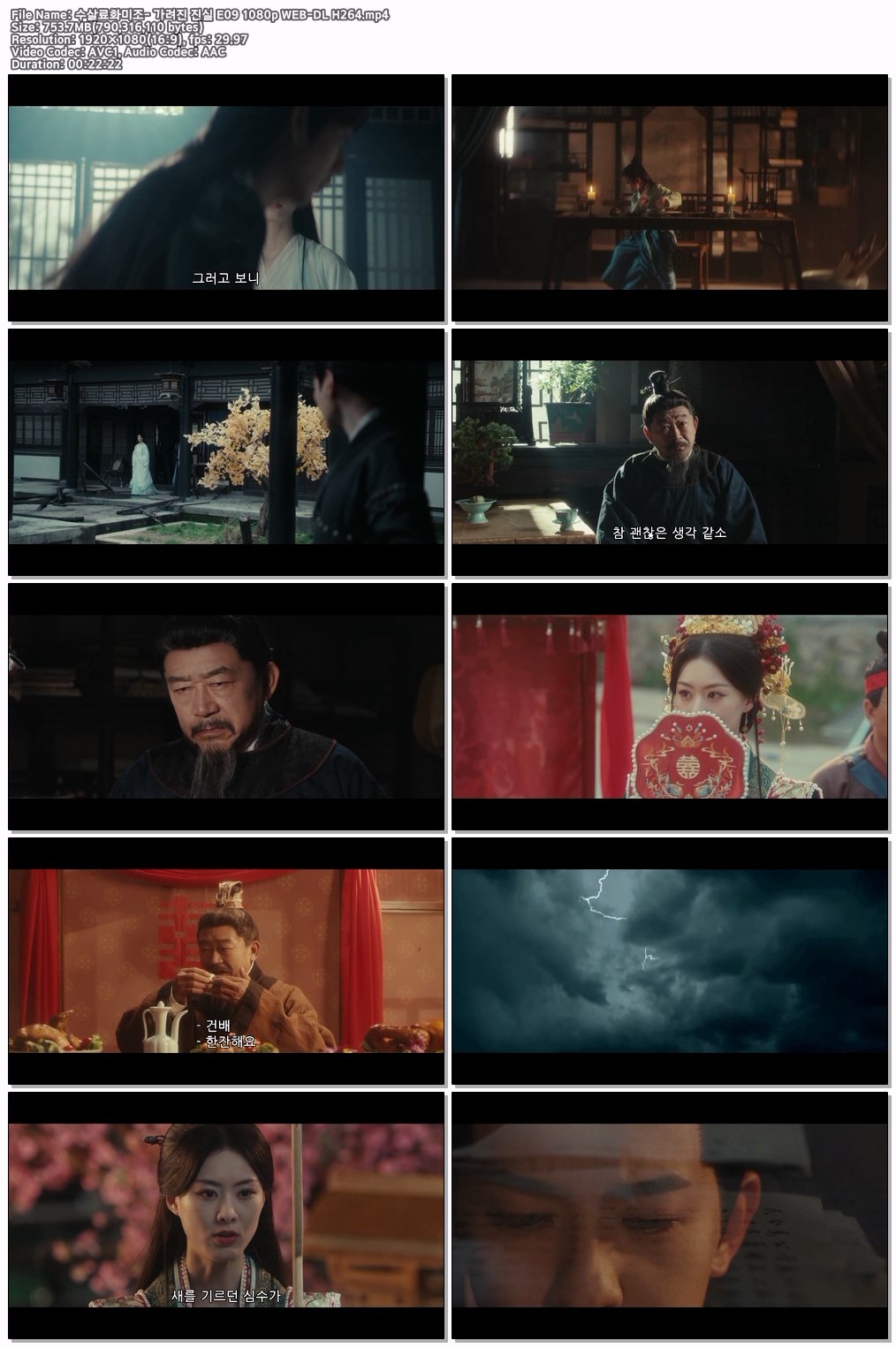 수살료화미조- 가려진 진실 E09 (1080p)
