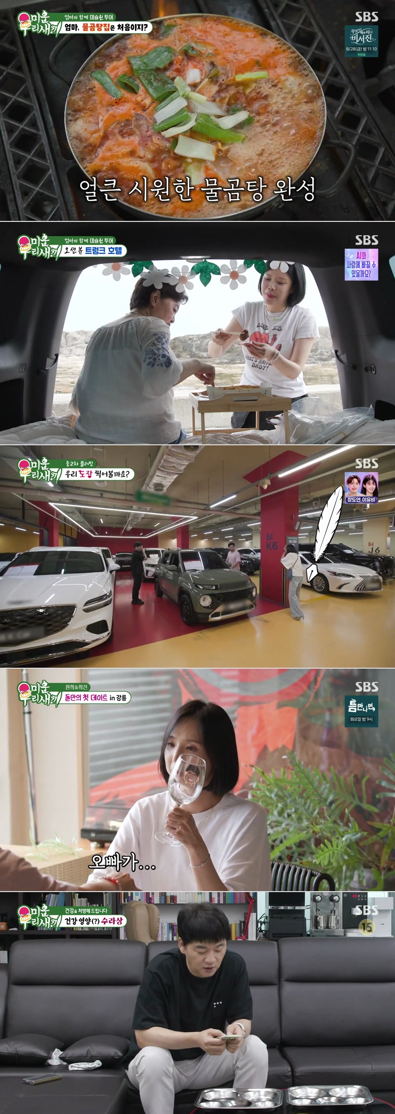 미운 우리 새끼.E508.260816.1080p.H264-F1RST