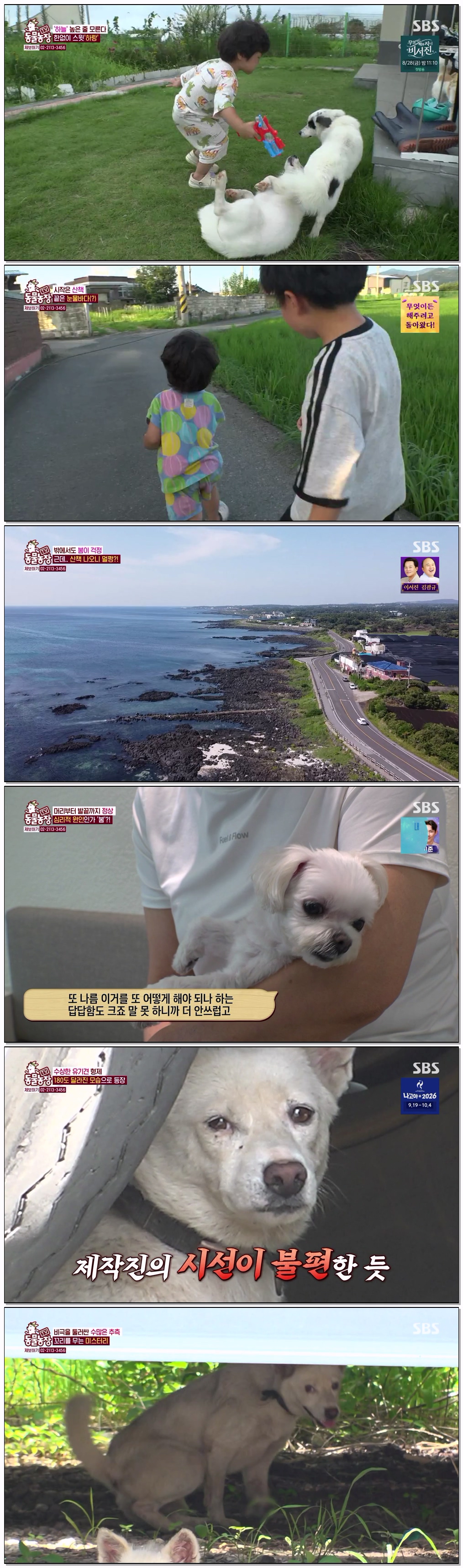 TV 동물농장.E1286.260823.720p-NEXT