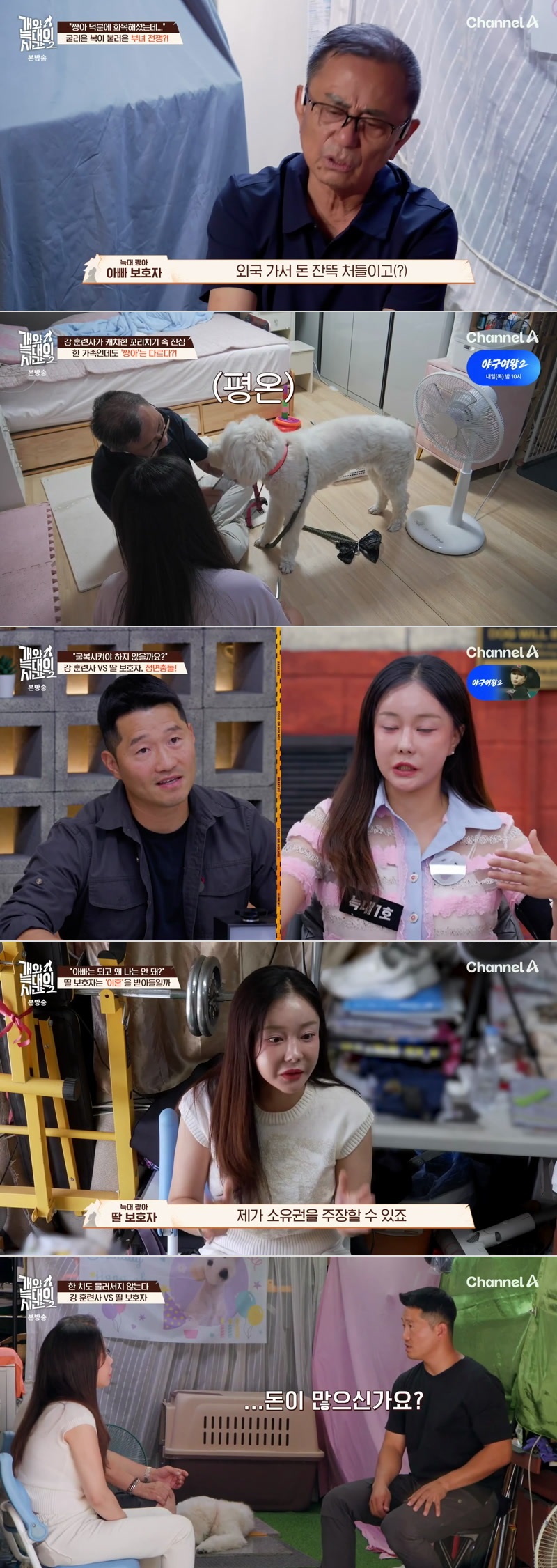 개와 늑대의 시간 시즌2.E31.260819.1080p.H264-F1RST