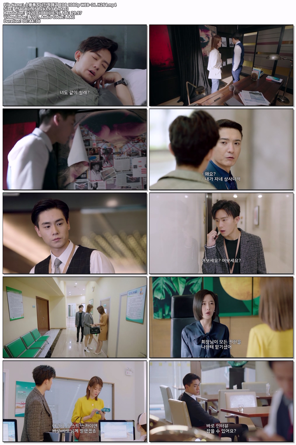 소풍폭지시간적매괴 E08 1080p WEB-DL H264